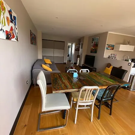 Espace Et Confort Au Coeur De Ville Annecy